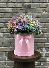 Цветочная композиция из Гипсофила и Розы в шляпной коробке в Грэсовском