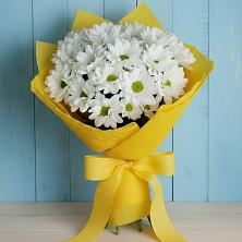 Букет цветов из:  Хризантемы в Грэсовском