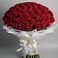 Букет 101 Красная роза Блэк Мэджик в Грэсовском