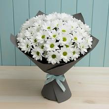 Букет цветов из:  Хризантемы в Грэсовском