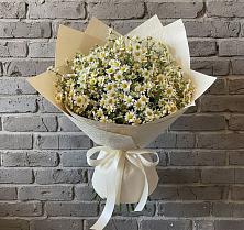 Букет цветов из:  Ромашки в Грэсовском