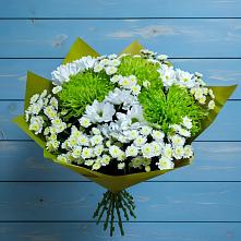 Букет цветов из:  Хризантемы #REPLACE_PRED# Грэсовском