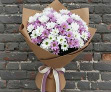 Букет цветов из:  Хризантемы в Грэсовском