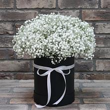 Цветочная композиция из Гипсофила в шляпной коробке в Грэсовском