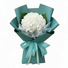 Букет цветов из:  Гортензия в Грэсовском